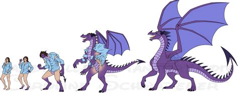 Dragon Transformations .